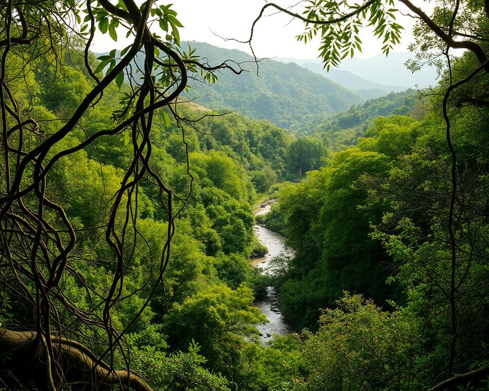 A panoramic landscape of a lush, verdant forest. In the foreground, a network of organic, twisting vines and branches forms a dynamic, interlocking pattern. The midground features a tranquil stream winding through the undergrowth, reflecting the dappled sunlight filtering through the canopy above. In the background, rolling hills rise up, cloaked in a tapestry of diverse, thriving flora. The lighting is warm and diffused, creating a sense of harmony and balance. The overall composition conveys a vision of sustainable, interconnected natural systems, symbolizing the principles of a successful, eco-friendly business transformation.